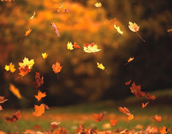 Weekly Newsletter 9/21