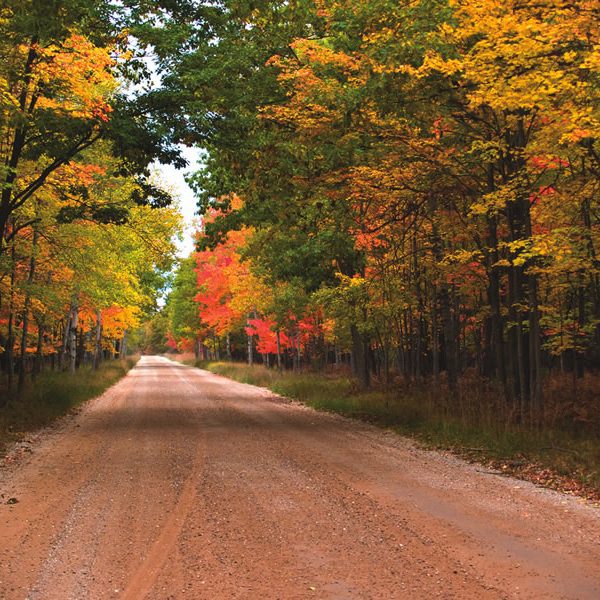 Weekly Newsletter 10/19