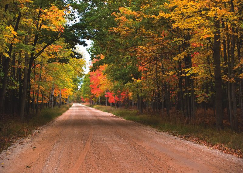 Weekly Newsletter 10/19