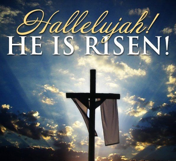 Weekly Newsletter 4/20