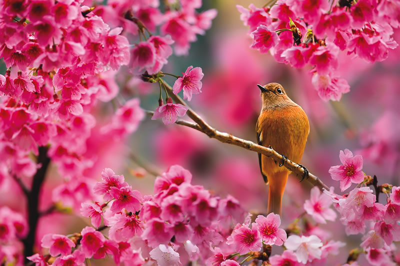 Weekly Newsletter 4/26