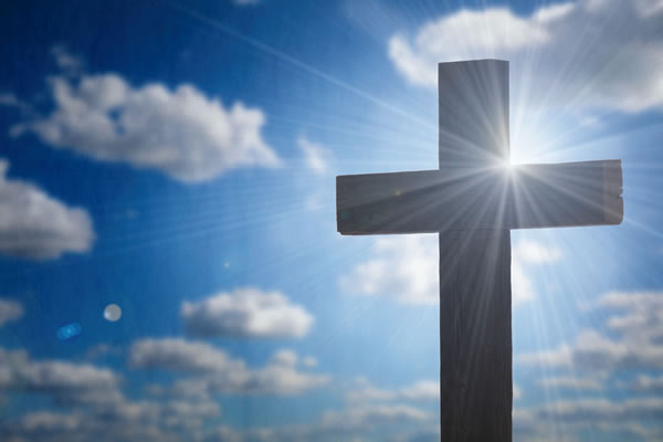 Weekly Newsletter 2/8