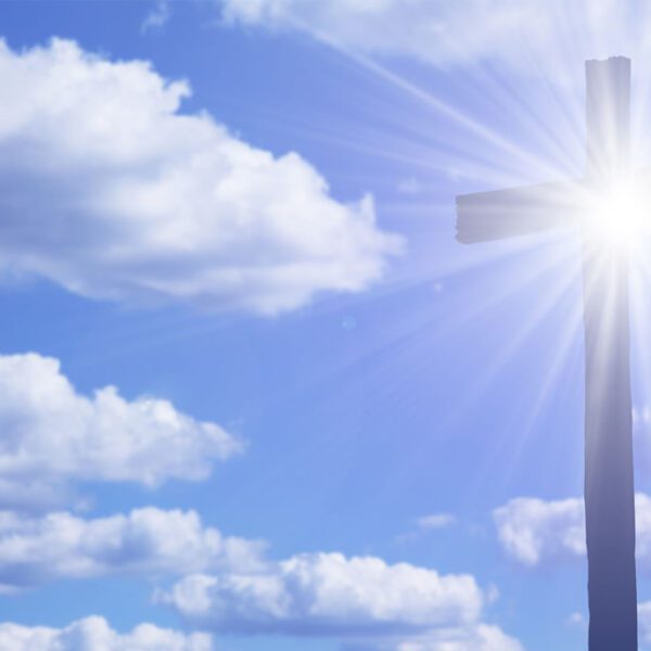 Weekly Newsletter 7/27