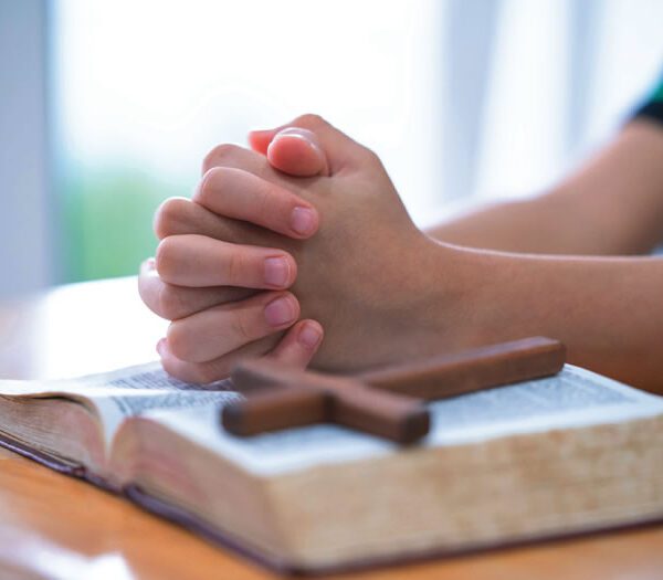 Weekly Newsletter 10/12