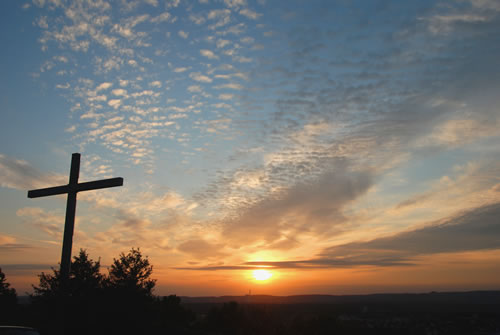 Weekly Newsletter 11/9