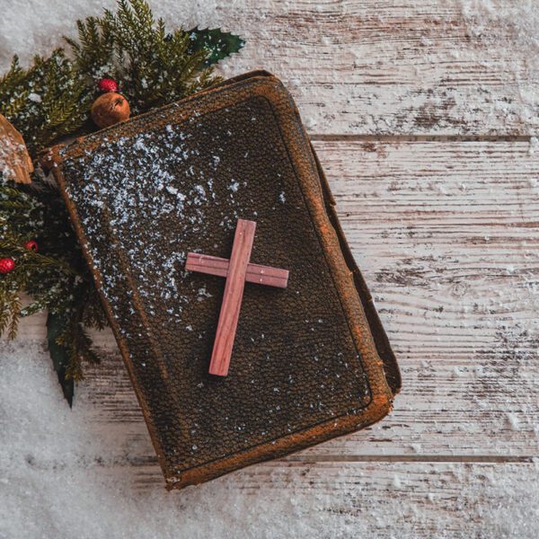 Weekly Newsletter 11/30