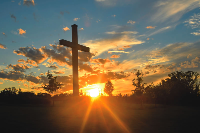 Weekly Newsletter 10/25